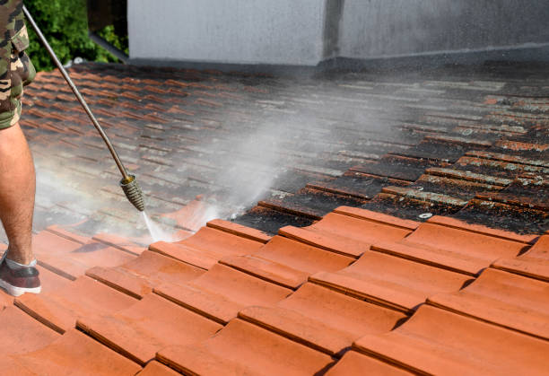 Roof Power Washing Services in Hayfork, CA