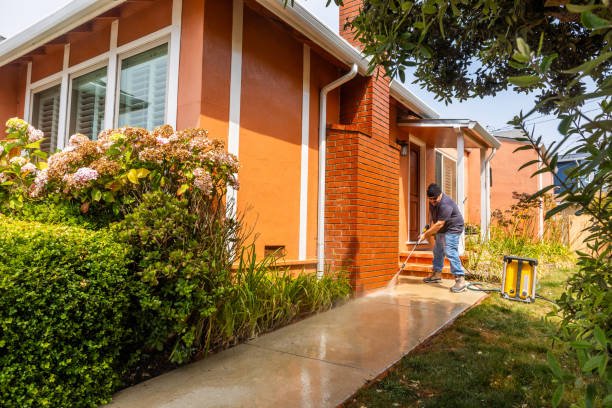 Best Power Washing Near Me  in Hayfork, CA
